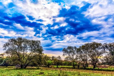 Çimen tarlası ve bulutlu gökyüzü olan güzel bir manzara.