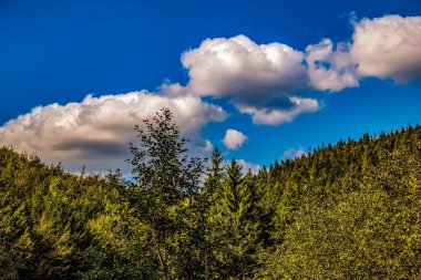 Nehir ve gölü olan güzel bir manzara.
