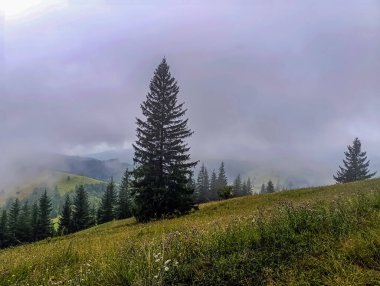 Dağları ve bulutları olan güzel bir manzara