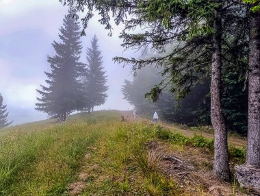 Sonbaharda sisin içinde dağlarda yürüyüş yapmak. Yazın güzel doğası.