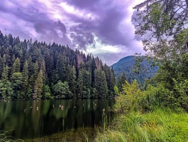 Dağlarda güzel bir göl manzarası.