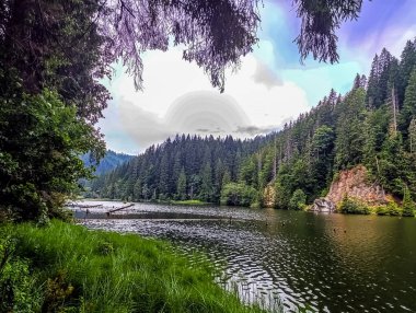 Gölün ortasındaki dağ ve göl ormanları