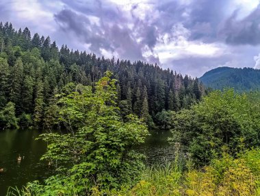 Yazın güzel göl manzarası