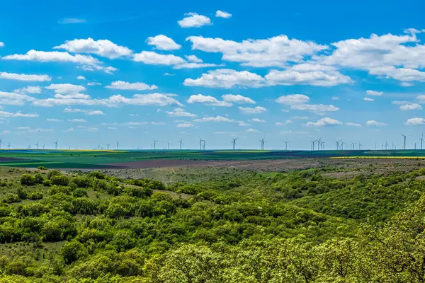 Hollanda 'daki bir tarladaki yel değirmeninin havadan görünüşü. yüksek kaliteli fotoğraf