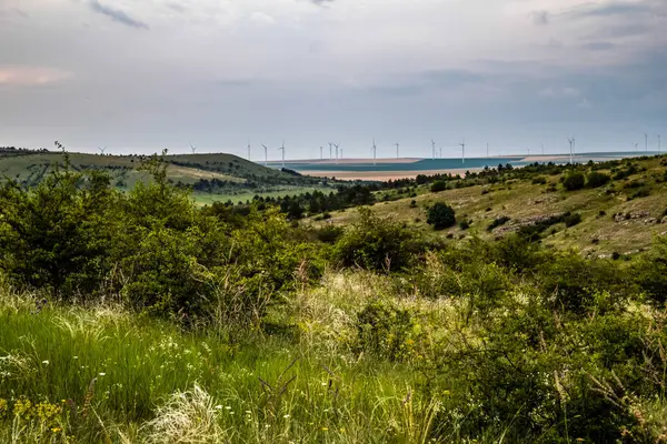 Rüzgar türbinleri sahada