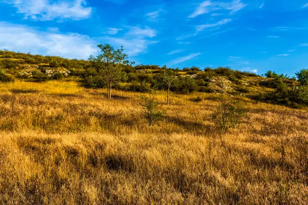 güzel yaz dağ manzarası.