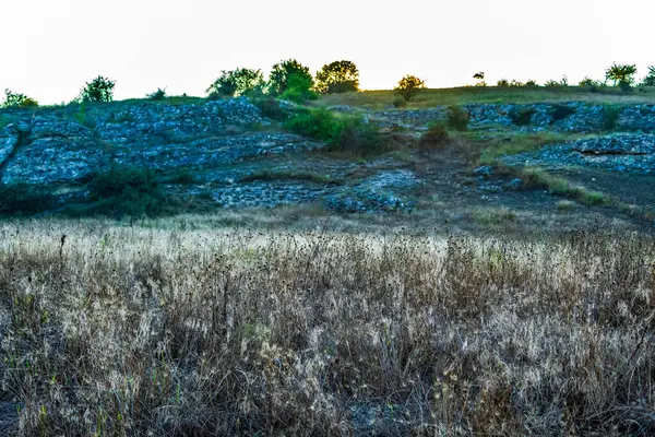 Büyük bir taş ve küçük bir çim tarlası olan arazi.