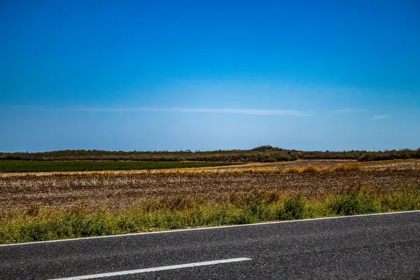 Güney Rusya 'nın kırsal kesimindeki yol.