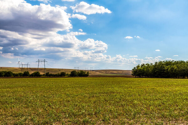 beautiful landscape with a field of wheat and a blue sky