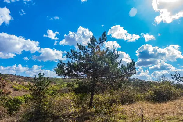 Karpatlar 'ın dağlarındaki manzara