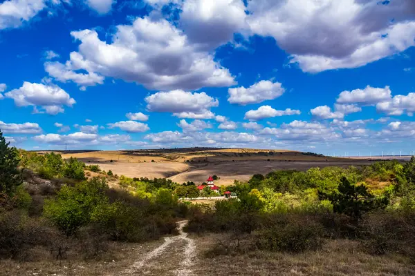 Bir yol ve mavi gökyüzü ile Peyzaj