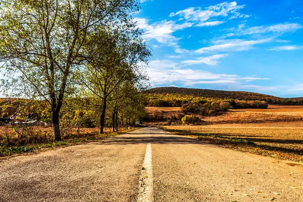 Ormanın içinden geçen bir yol. sonbahar günü.