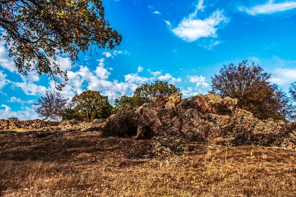Ağaçlar ve yapraklarla dolu sonbahar manzarası