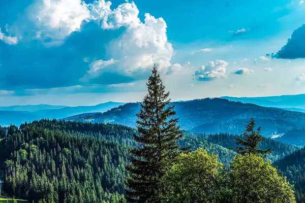 Karpat Dağları 'nın güzel manzarası. ukraine.