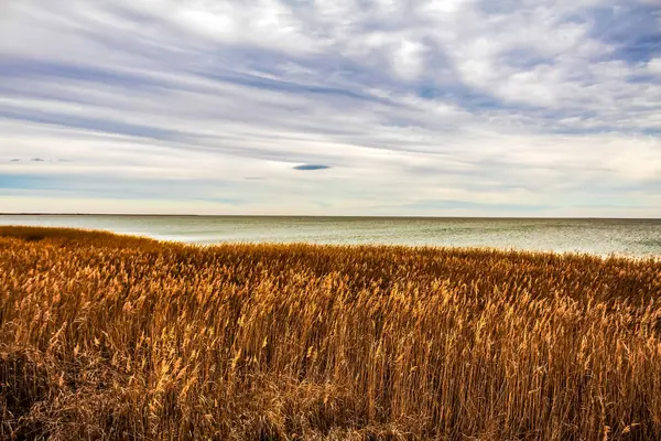 Doğanın güzel manzarası