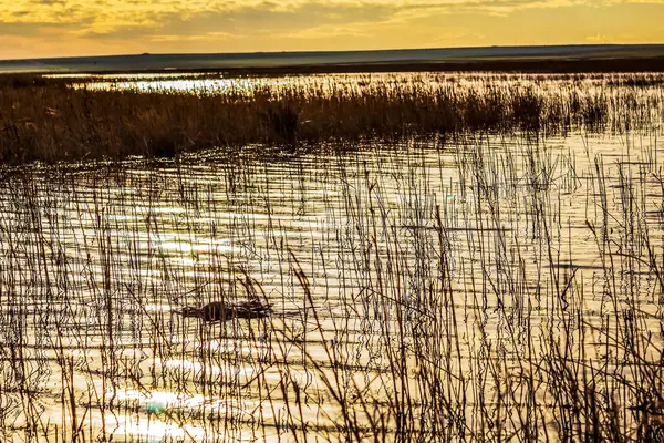 Gölde güzel bir gün batımı