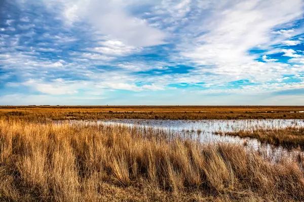 Kırsal kesimde manzara