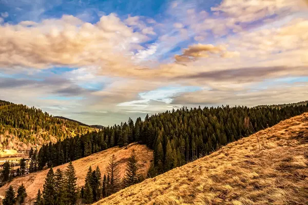 Karpatlar 'da dağ sırası olan güzel bir manzara.