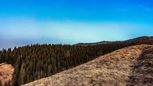 Karpat Dağları 'ndaki Karpatlar manzarası