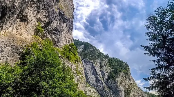 İtalya 'daki Dolomitlerin güzel dağlarının dikey görüntüsü.