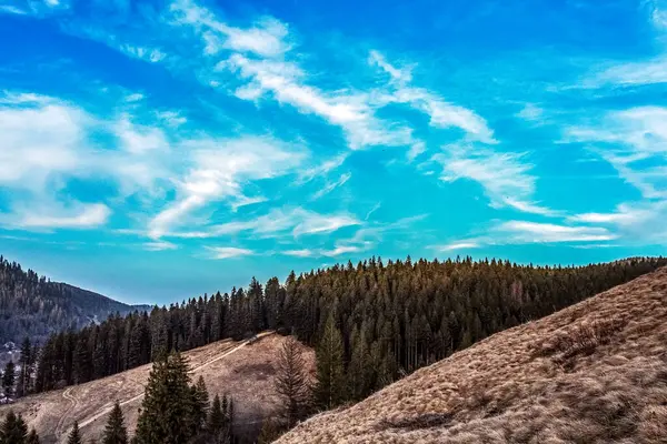 Mavi gökyüzü olan dağ manzarası