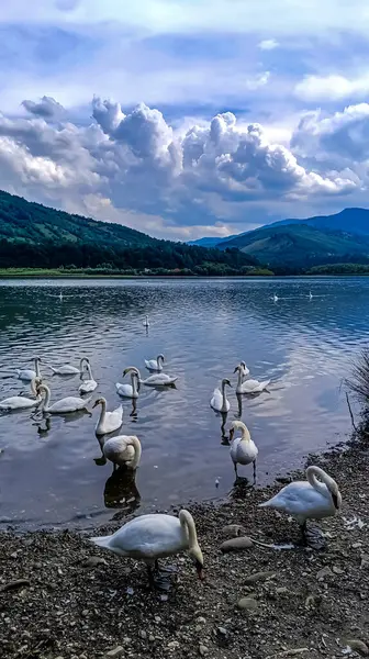 Dağlarda gölü olan güzel bir manzara.