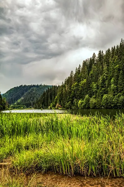 Önünde bir göl olan güzel bir yaz manzarası