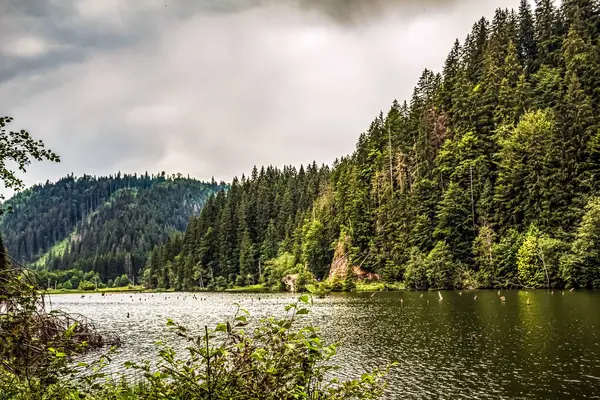 Dağlardaki gölün güzel manzarası