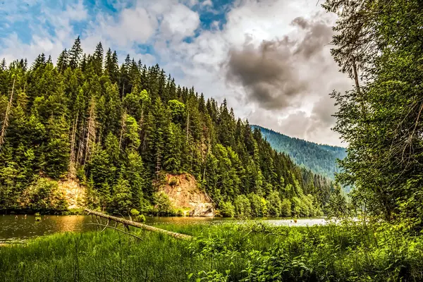Göl ve ağaçlarla kaplı dağ ormanı