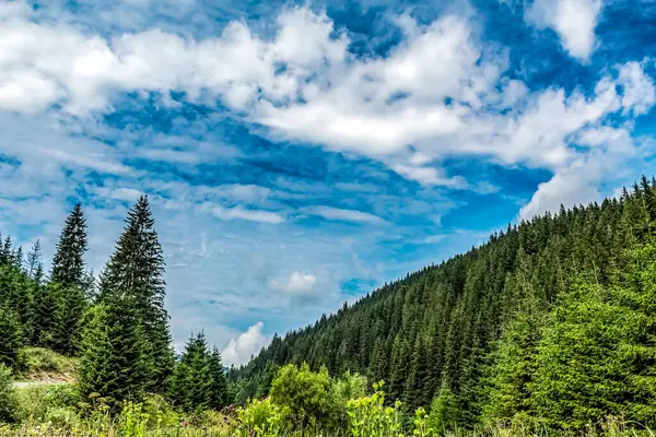 Dağları ve mavi gökyüzü olan güzel bir manzara.