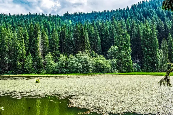 Dağlarda gölü olan güzel bir manzara.