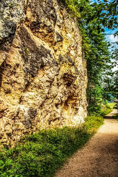 Ormandaki taş duvar ve yol