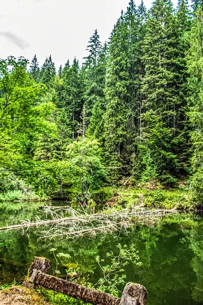 Karpat Dağları 'ndaki Karpat Dağları' nın güzel manzarası