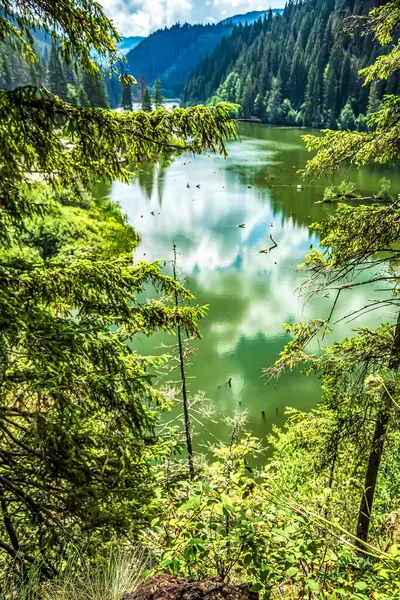 Alp Dağları 'ndaki güzel göl, Avusturya.