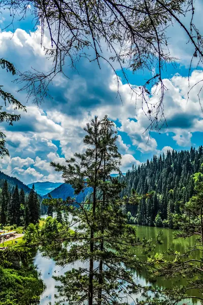 Yazın ormanlı göl