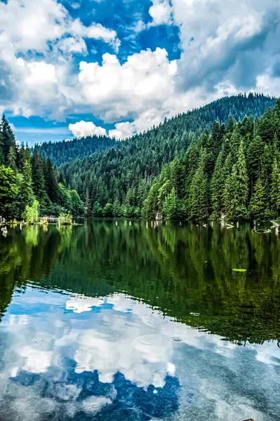 Arka planda göl ve dağlar