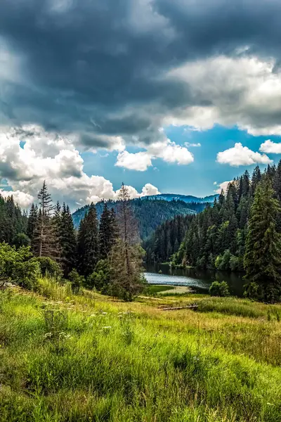 Ormandaki dağ gölü