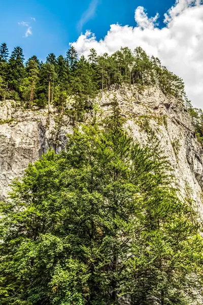 Kafkas dağlarının güzel manzarası.