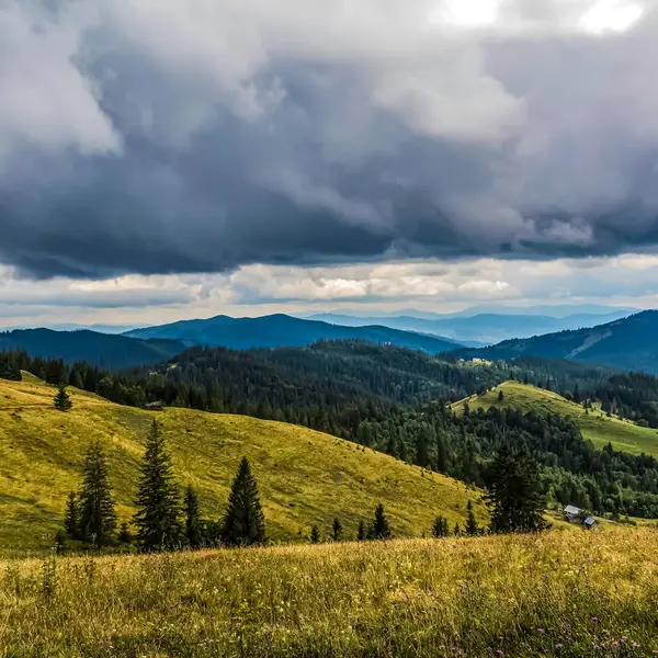 Dağlarda dağları olan güzel bir manzara.
