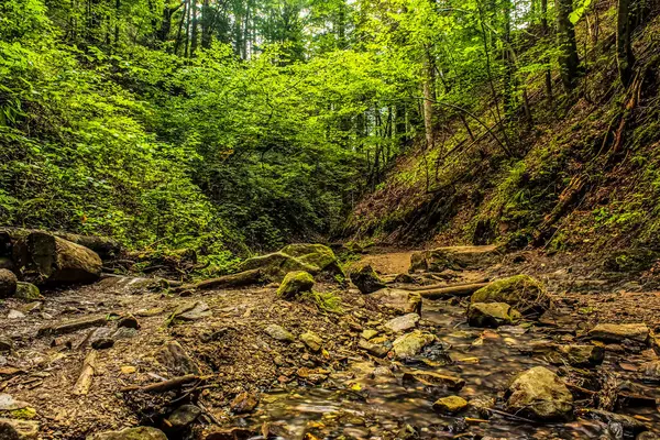 Ormanda güzel bir şelale