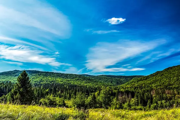 Karpat Dağları 'ndaki güzel dağ manzarası