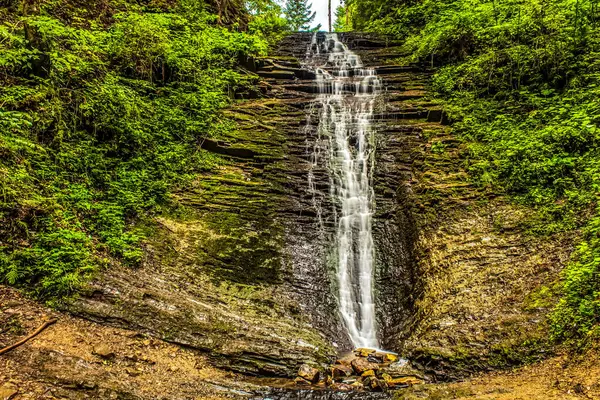 Nehrin şelalesinin dikey görüntüsü ormandan akıyor.