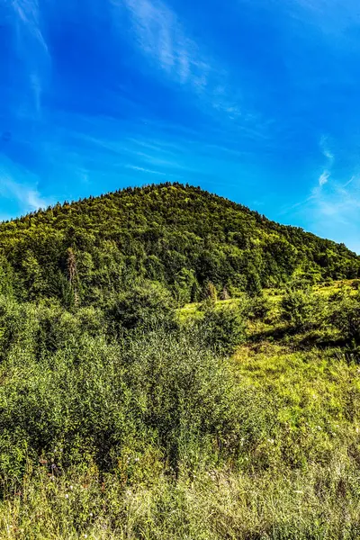 Ağacı ve mavi gökyüzü olan güzel bir manzara.