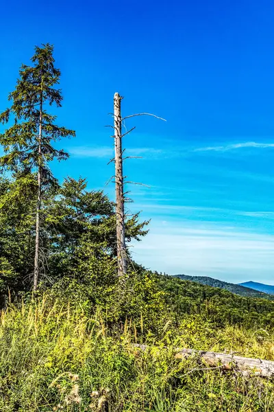 Dağların güzel manzarası