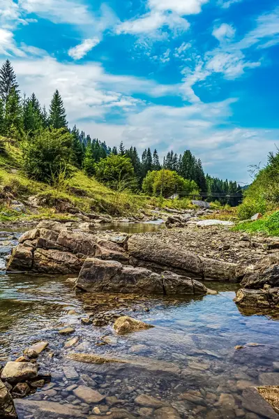 Ormanda nehri olan güzel bir manzara.