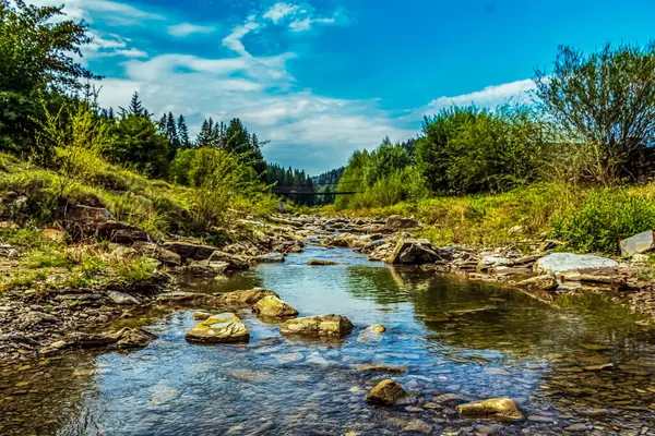 Ormanın ortasında deresi olan küçük bir nehir.