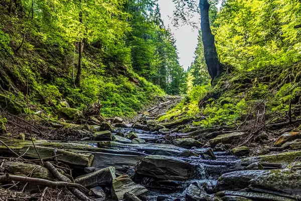 Ormanda güzel bir şelale