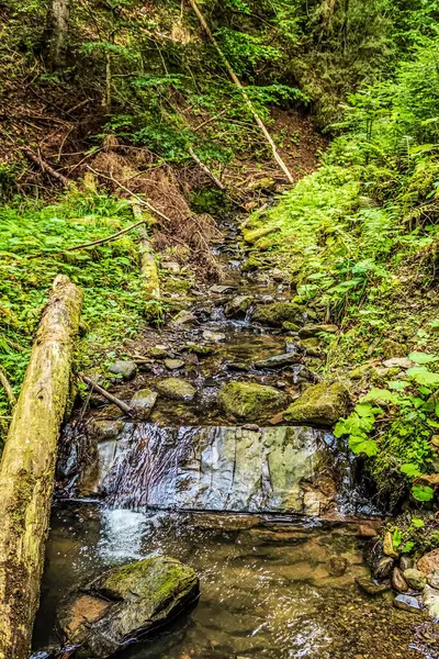Doğanın güzel manzarası