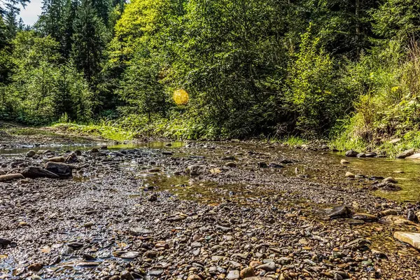 Parkta güzel bir nehir