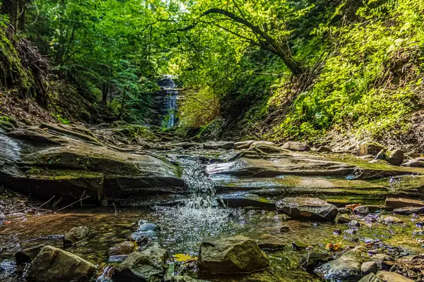 Ormanın şelaleleri